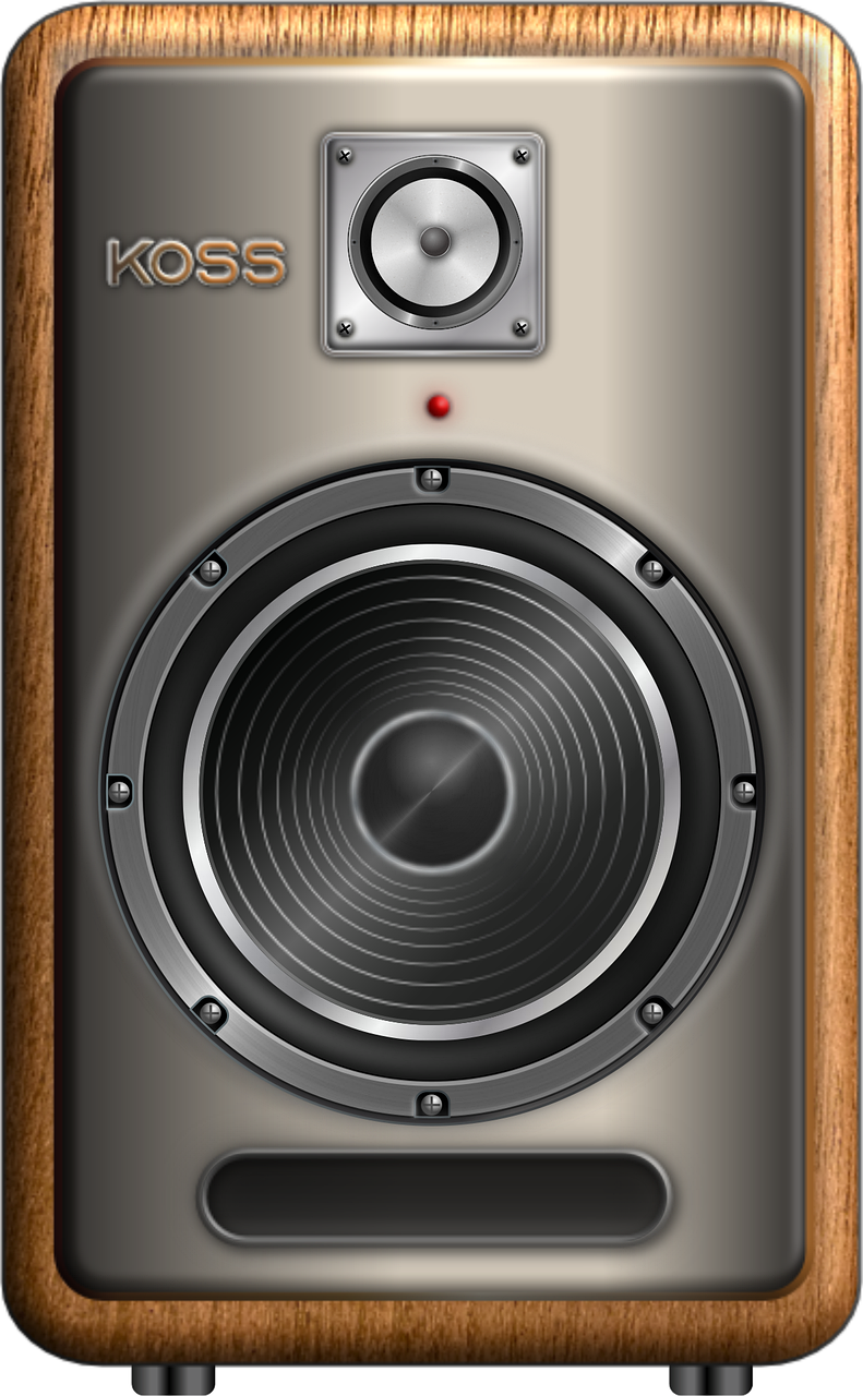 Speaker GS1E665960 Size: The Ultimate Guide